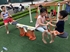 thumbnail_20354054_1385688521547205_1990638387_o
