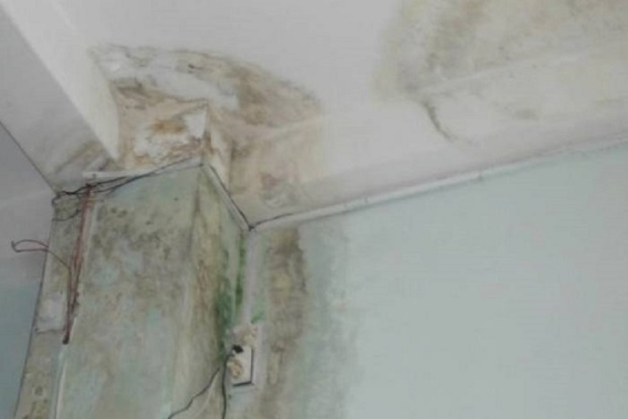 Những Nguyên Nhân Nào Dẫn Đến Hiện Tượng Thấm Dột?